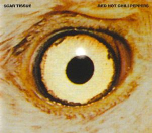 Red Hot Chili Peppers - Scar Tissue - single cover